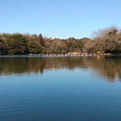 足で稼げ！ 大安トラウトレイク